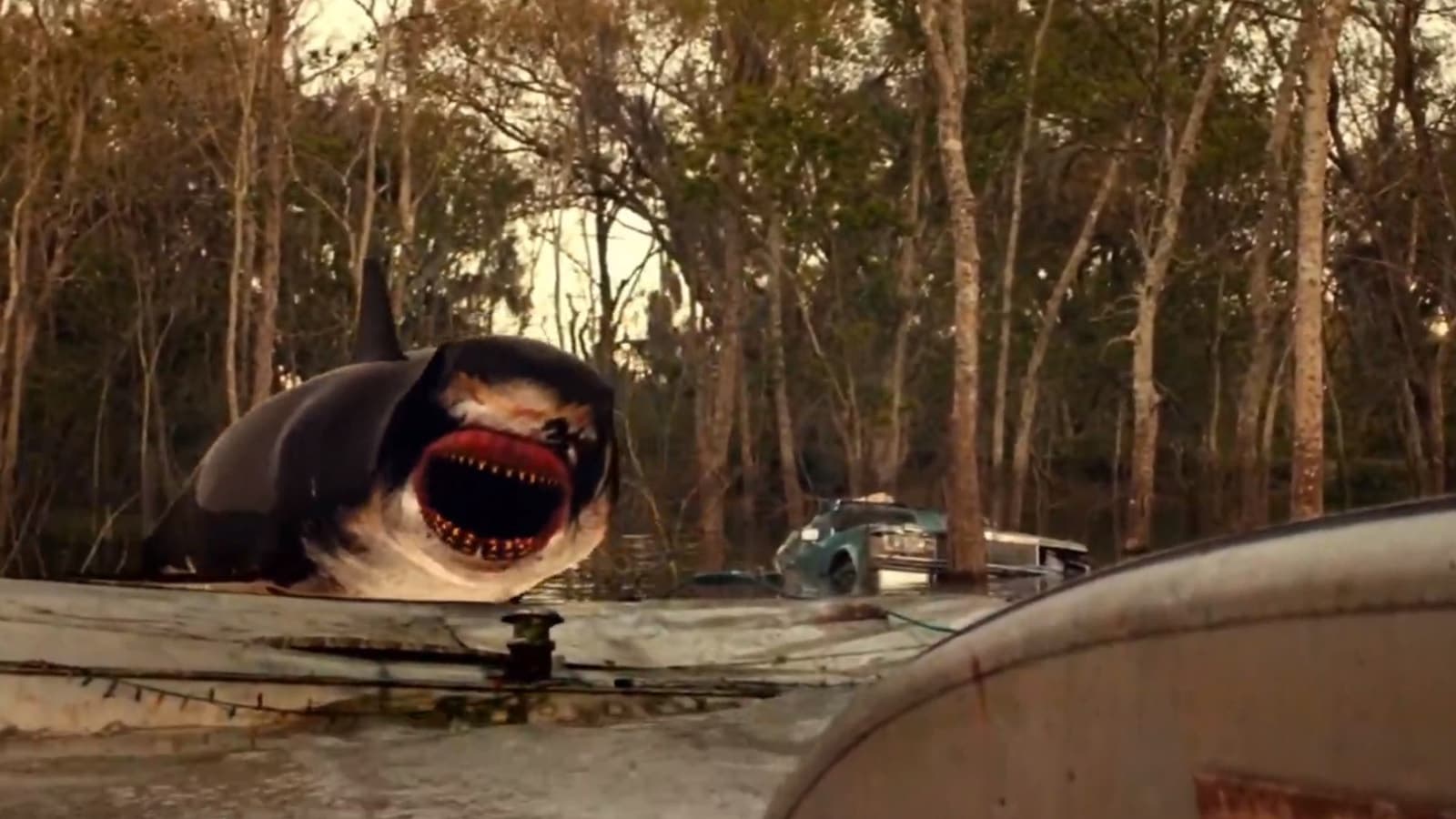 Trailer Park Shark