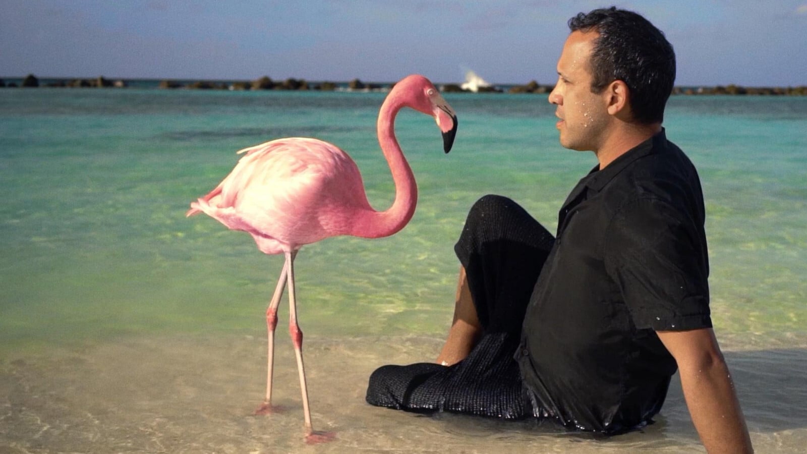 The Mystery of the Pink Flamingo