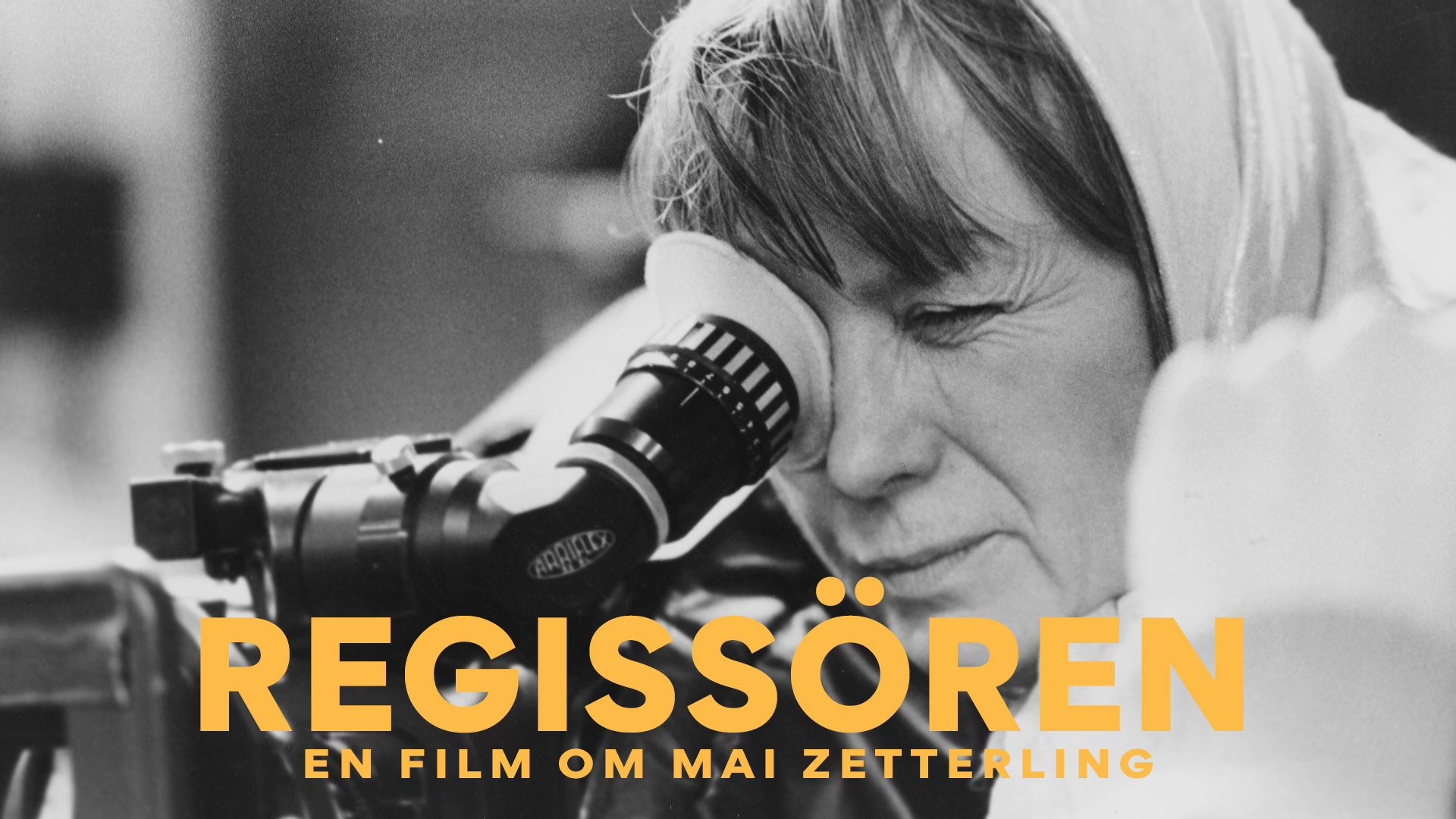 Regissören: en film om Mai Zetterling