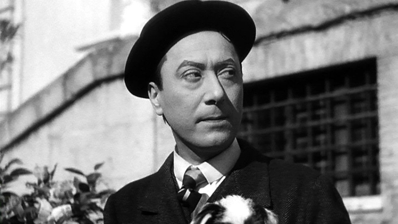 L'innocente Casimiro