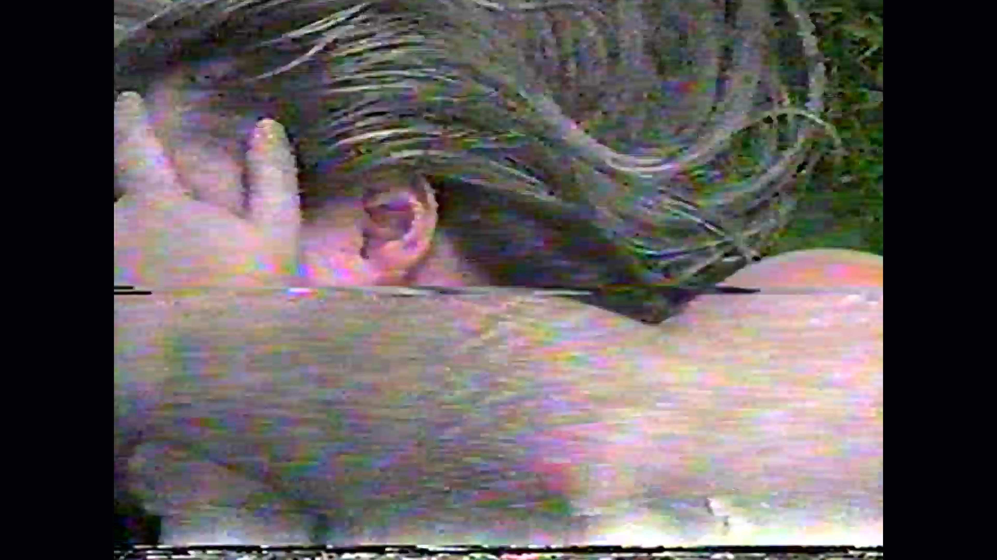 No Signal