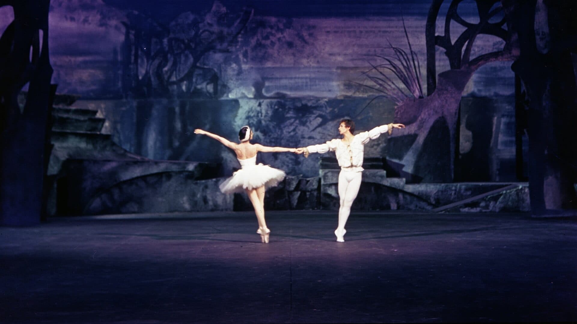 Swan Lake