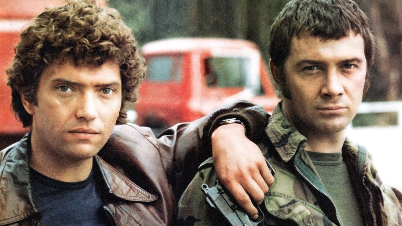 The Professionals