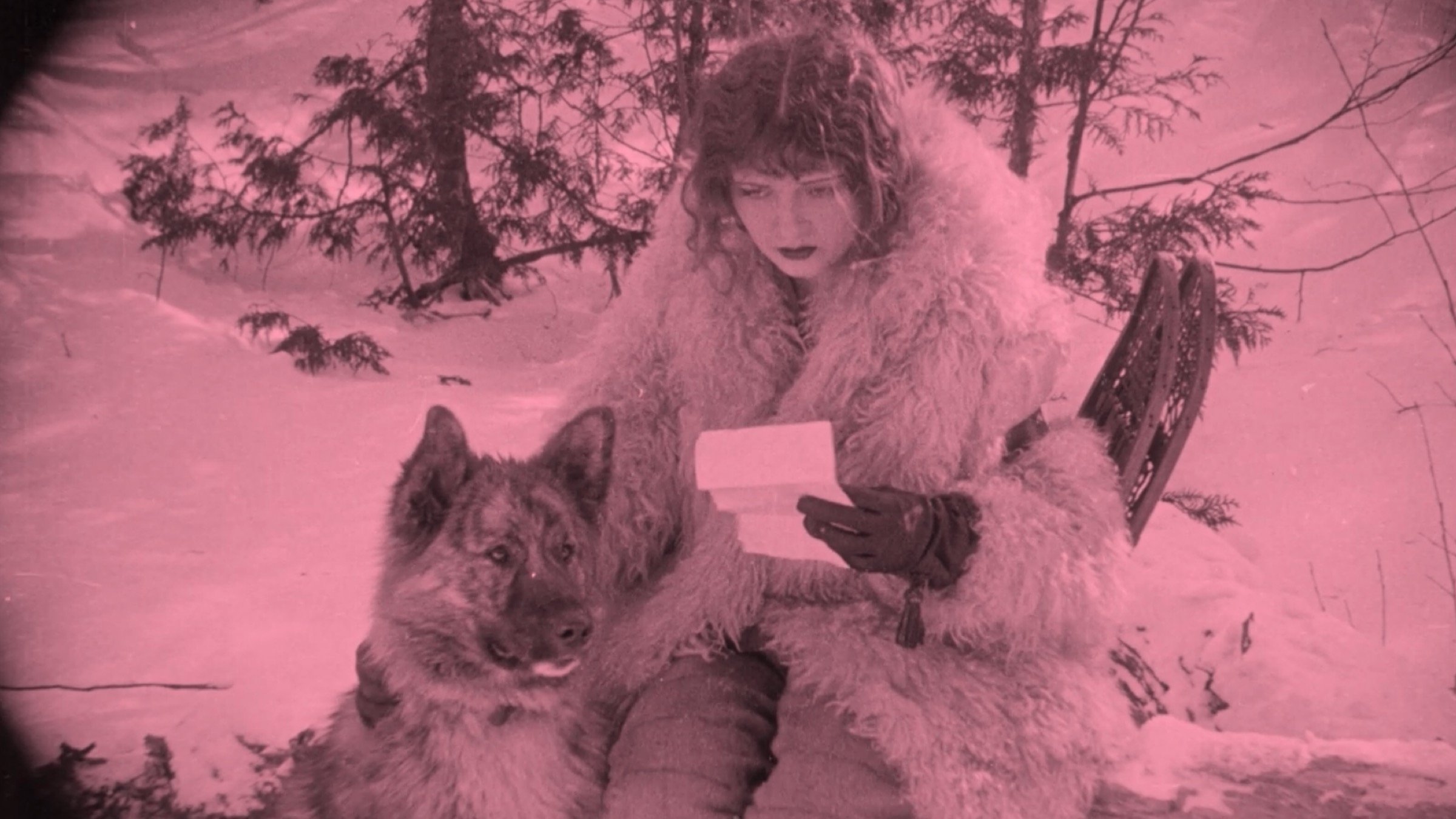 A Virgin's Sacrifice