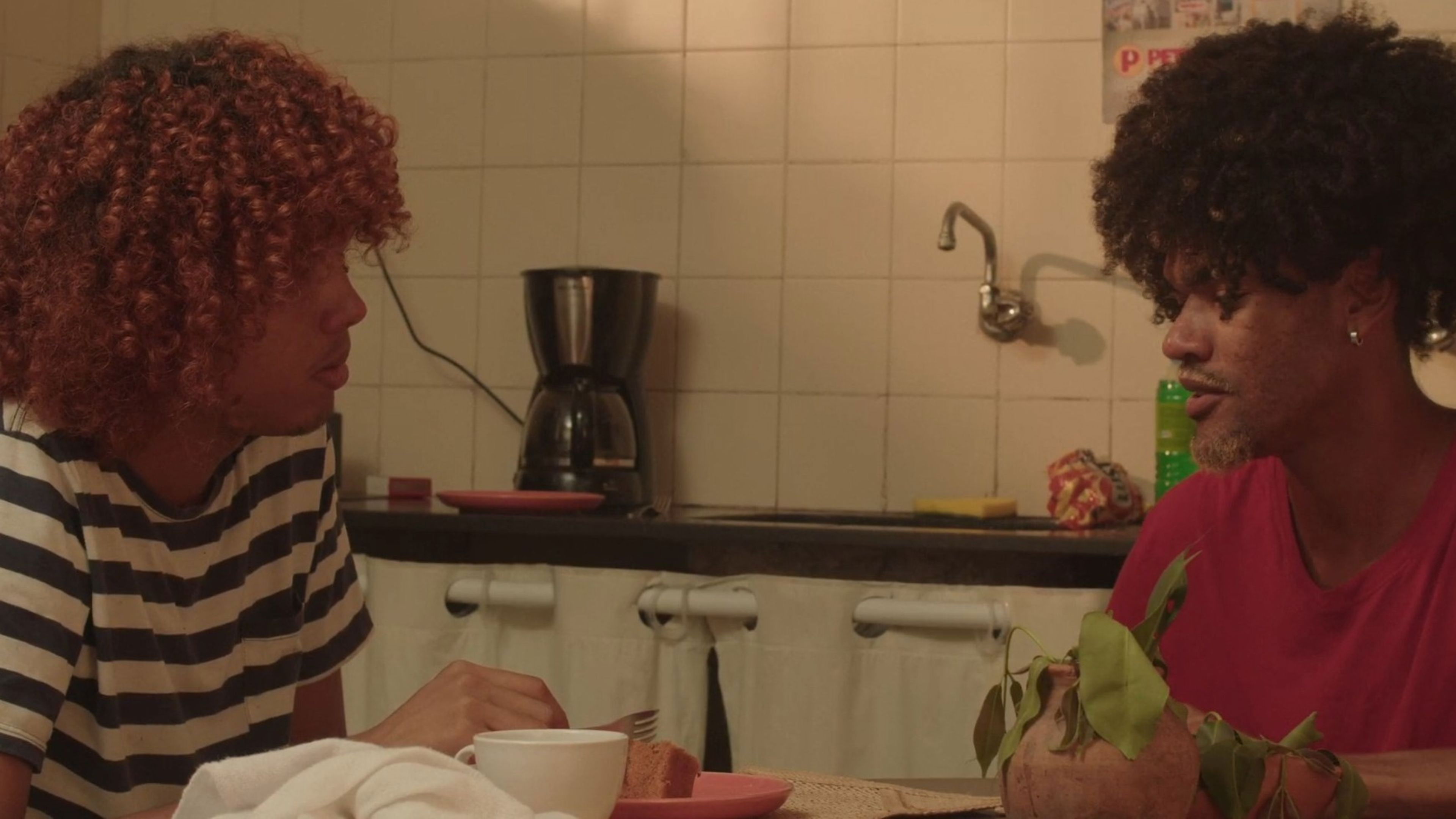 Andorinha Só Não Faz Verão