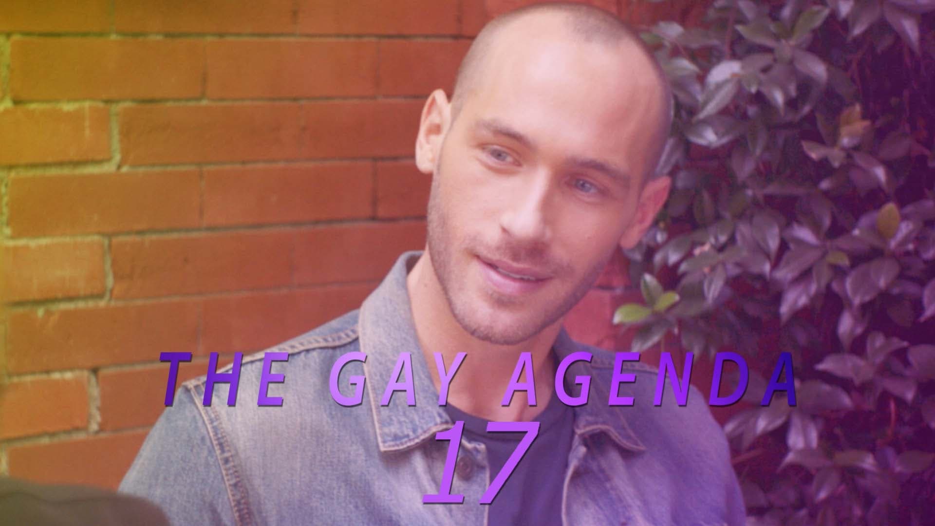 The Gay Agenda 17