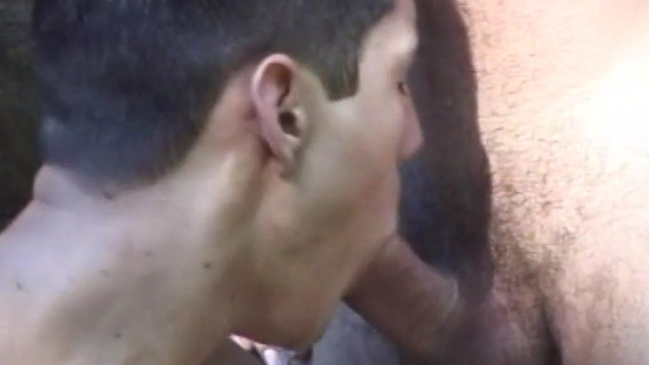 Apaixonados por Rolas