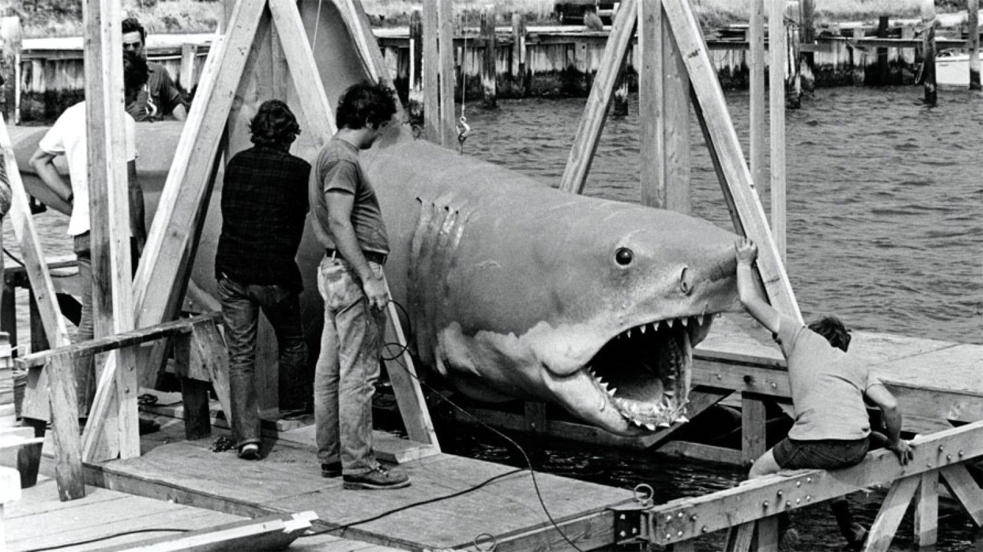 The Shark Is Still Working: The Impact & Legacy of "Jaws"