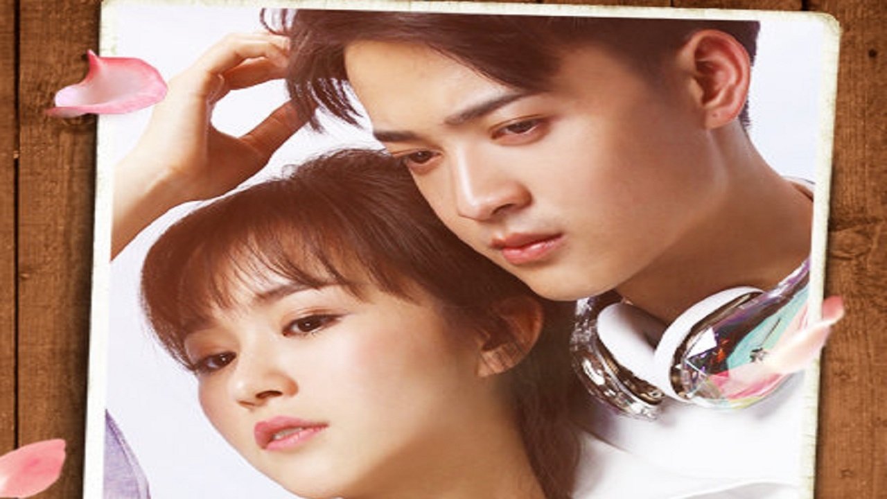 真爱骗子小娇妻