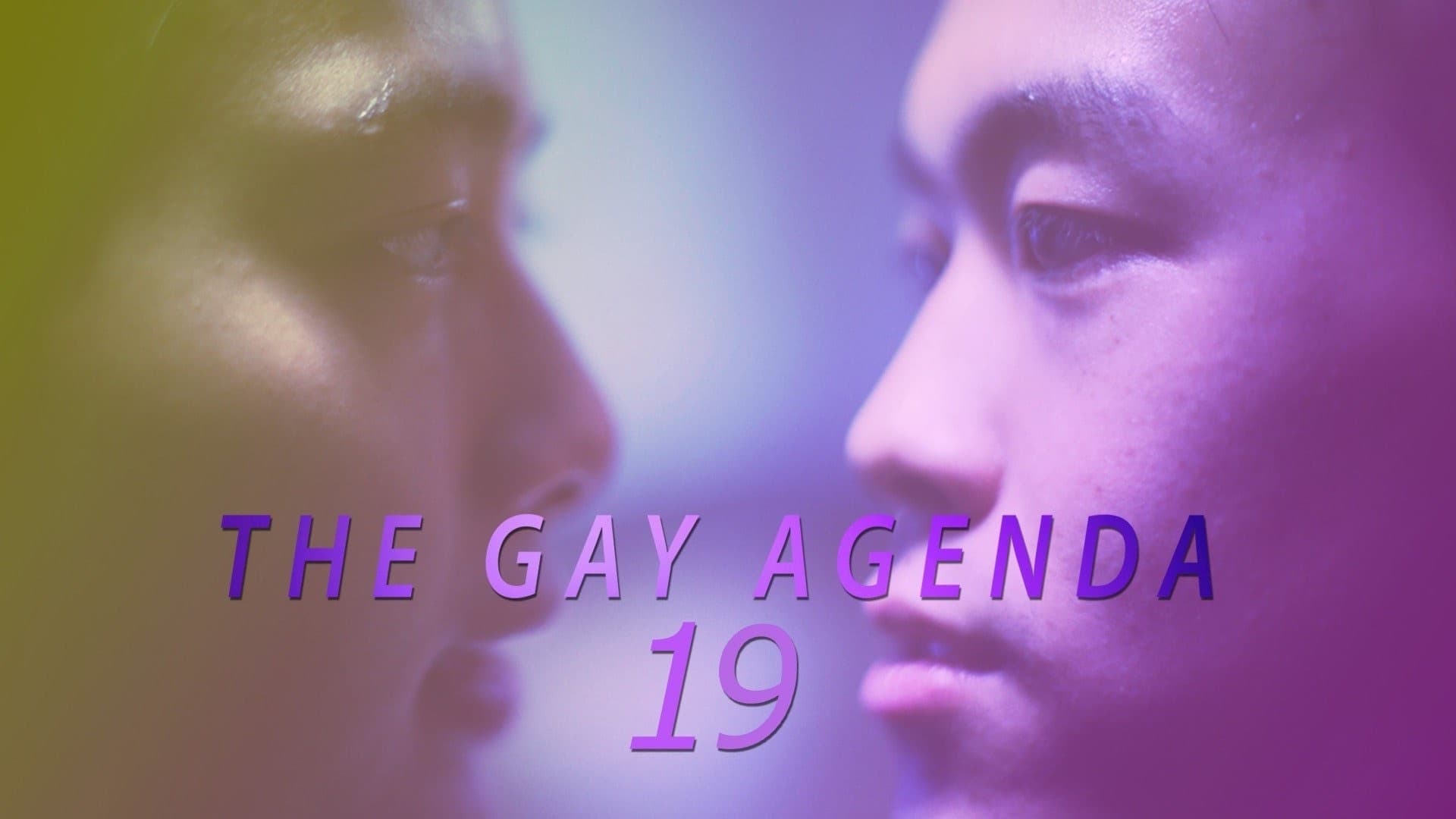 The Gay Agenda 19