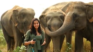 Malaika and the Elephants