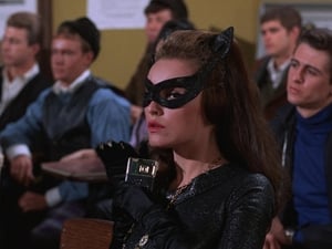 Catwoman Goes to College