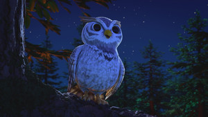 Daytime at Nighttime