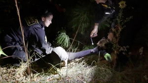 Road Rage Investigation