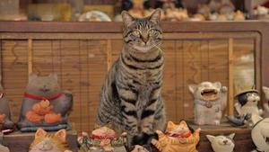 Aichi: A Cat Temple and Ceramics