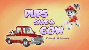 Pups Save a Cow