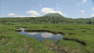 Early Summer in Niseko