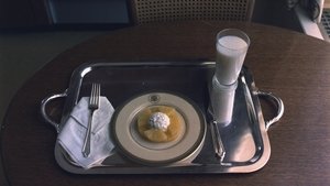 Nixon (3): The Fall