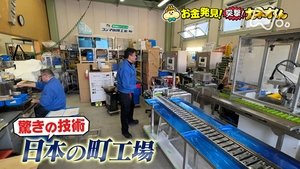 Episode 223