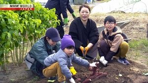 Nature's Bounty at an Okayama Community Garden
