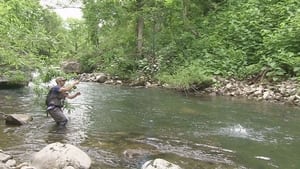 Fly Fishing in Niseko