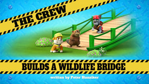 The Crew Builds a Wildlife Bridge