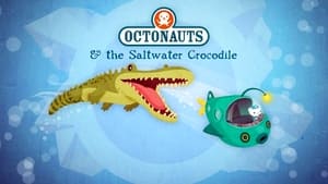 The Saltwater Crocodile