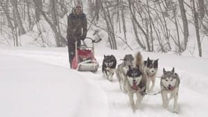 Dogsledding in Kitataisetsu