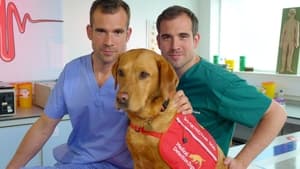 The Dog Who Saves Lives