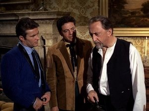 The Night of the Simian Terror