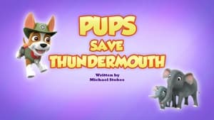 Pups Save Thundermouth