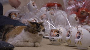 Gunma: Kusatsu Onsen and Daruma Dolls