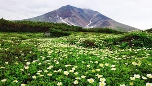 Summer of Taisetsu Mountain Range