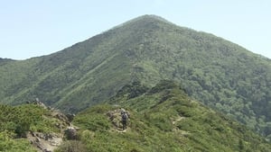 Early Summer on Mt. Apoidake