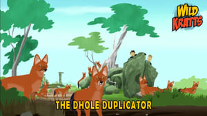 The Dhole Duplicator