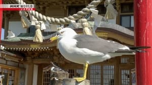 The Aomori Shrine Where "Umineko" Soar