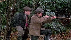 Incident at Vernon River