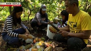 Quality Cocoa Enriches Lives: The Philippines