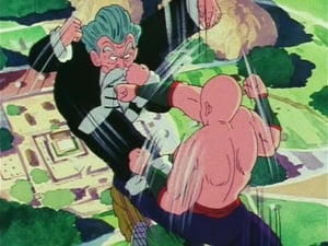 Tien Shinhan vs. Jackie Chun