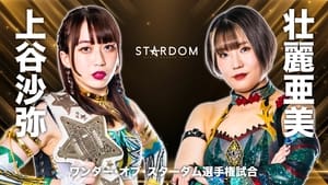 Stardom Triangle Derby I In Nagoya ~Come To Nagoya~