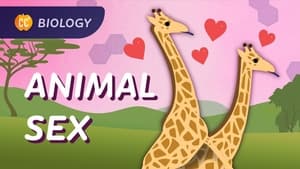 How Animals Do It: Sexual & Asexual Reproduction