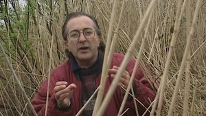 The Guerrilla Base of the King - Athelney, Somerset