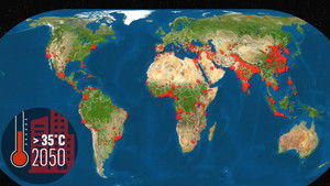 Cities: Facing Heatwaves