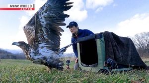 Wildlife Vet - Saito Keisuke