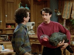 Wild Turkey