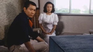 11 Collections!! The Invitation To Happiness