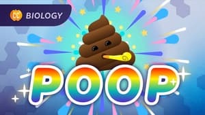 The Poop Episode: How Animals Turn Resources Into Waste