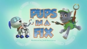 Pups in a Fix