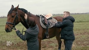 Horse Whisperer