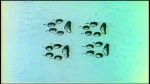 Myths and Superstitions